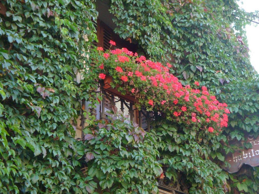 Hotel Casa Frauca Sarvisé Buitenkant foto